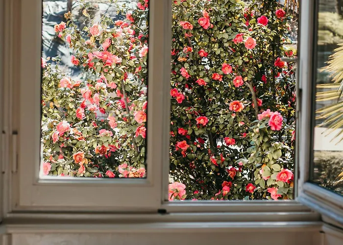 The Queen's - Candela *